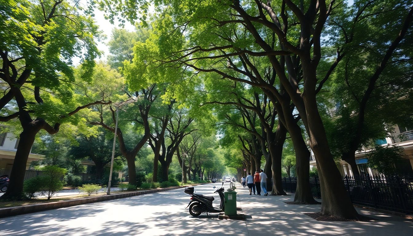 Bengaluru ranks first in national footpath study despite 45.4 percent obstruction rate
